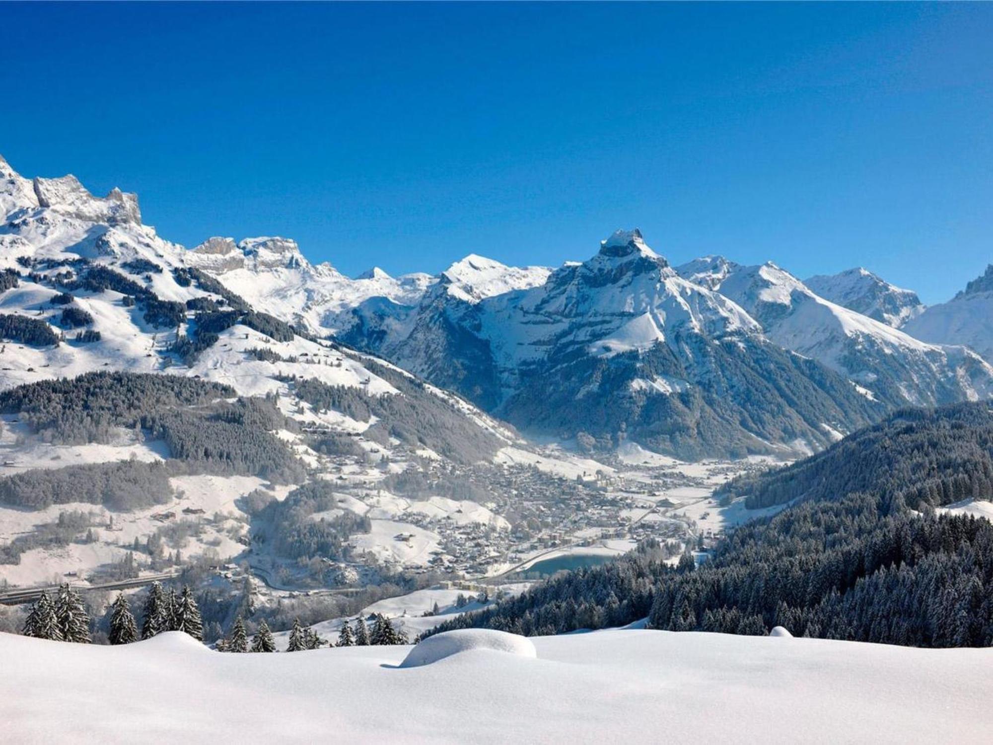 Apartment Villa Alpenblick Wolfenschiessen By Interhome 외부 사진